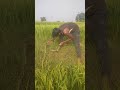 Raithu Raithu Paduganu Ni Ratho