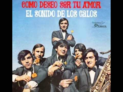 Los Galos - Por Temor