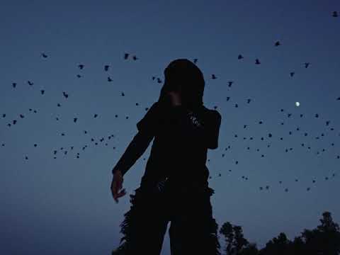 Summrs - With The Mafia [OFFICIAL MUSIC VIDEO]