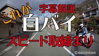 Re: [分享] 日本的交通分享