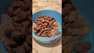 Download lagu Solution for lazy pets to eat #dog #beagle mp3