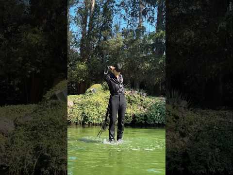 YouTube video