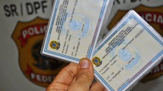 SOU OBRIGADO A RENOVAR O CRAF AGORA? O QUE DIZ O NOVO DECRETO?