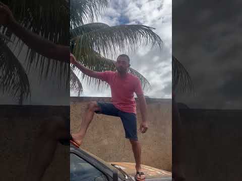 Os Brabos do Goiás diretamente de Joviania Góis pra cabeceiras Goiás