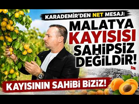 Malatya'da hasadı yapılan yaş kayısıların ihracatı devam ediyor