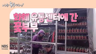 [나는농부다 294회]화훼 유통센터에 간 꽃부부
