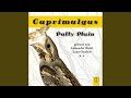 Kapitel 10 - Caprimulgus