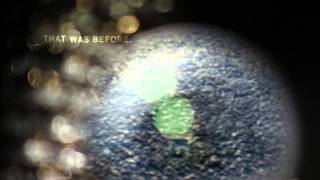 "The Beginning of After" by Jennifer Castle - Book Trailer