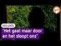Hoofdverdachte aanslagen De Groot: "De politie beloofde mij vrijspraak als ik de incidenten kon lat…