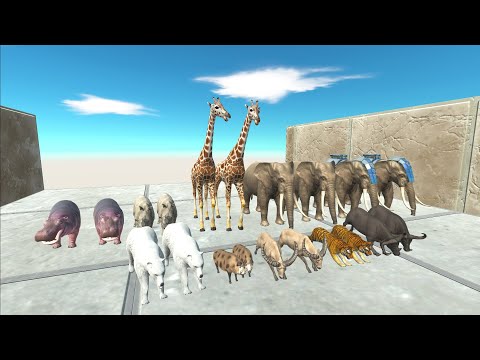 ANIMAL SURVIVAL RACE WITH OBSTACLES COURSE - Animal Revolt Battle Simulator