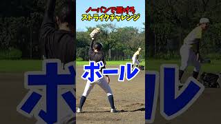 ノーバンで届けろ!?ストライクチャレンジ... 😂😂😂 #shorts #野球 #funny
