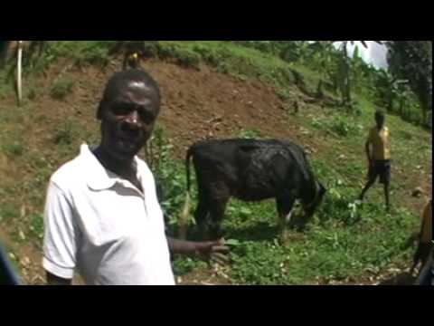 download lagu mp3 mp4 Saint John High School Clothing, download lagu Saint John High School Clothing gratis, unduh video klip Saint John High School Clothing