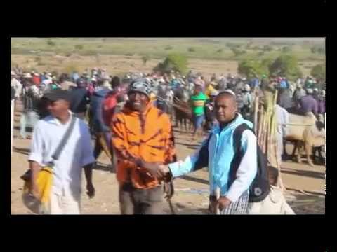 THIERRY D'IHOROMBE aminay agny