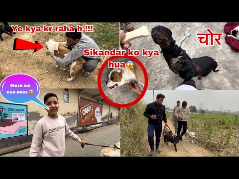 Sikandar ko kya hua😨my subscriber comes home 😍||beast se matting kra di