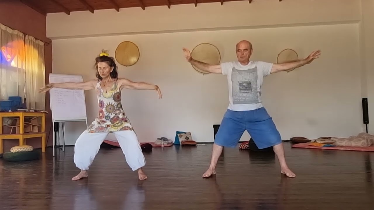 QI GONG GENERAL POUR PRESERVER LA SANTE