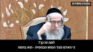 הגה״ח הרב ווכטר שליט״א | שלום עכשיו! הייתכן?! (הרב אברהם מנחם מענדל וכטר) - התמונה מוצגת ישירות מתוך אתר האינטרנט יוטיוב. זכויות היוצרים בתמונה שייכות ליוצרה. קישור קרדיט למקור התוכן נמצא בתוך דף הסרטון