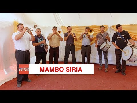 Mambo Siria * LIVE * 2017 (Darvari)