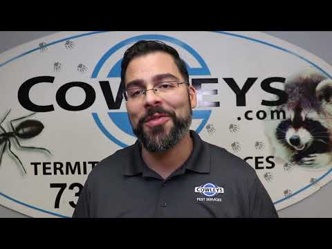 Follow These Tips to Keep Your Holiday Plans Pest Free