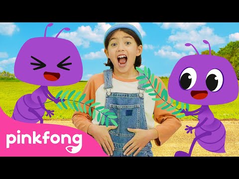 La Hormiguita | Fui al Mercado🎵 🐜 | Pinkfong ¡Baila, Baila! | Canciones Infantiles