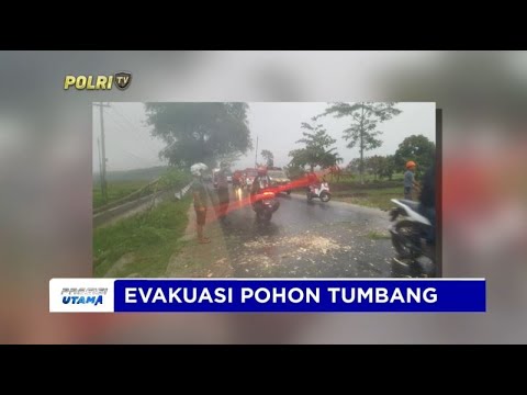 EVAKUASI POHON TUMBANG