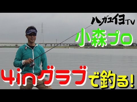【ハガユイヨTV#0023】やっぱり釣れる！4inグラブ！IN霞ケ浦！