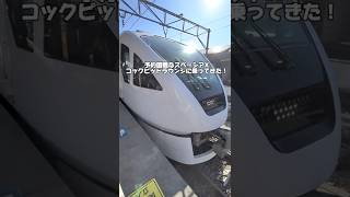 【予約激戦】1車両20席だけ…幻の特等席で日光へ