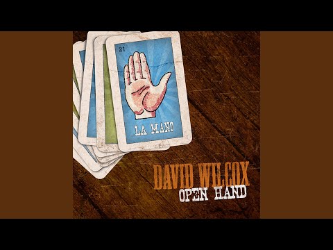Videoclip de Winter at the Shore — David Wilcox