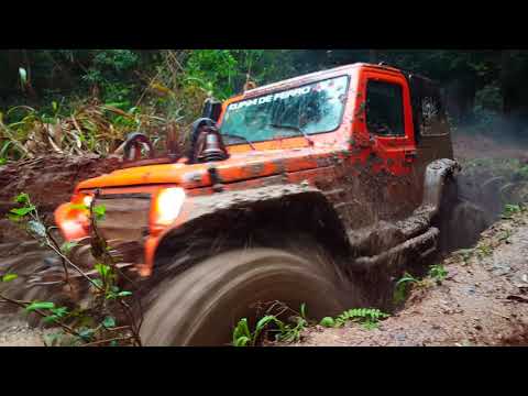 Cupim de Ferro - Atoleiro do Rio -  Pedra Lisa