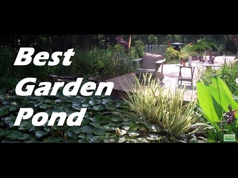Best Garden Pond I've seen. Garden pond Advice and tips on  a biologically filtered garden pond. Video