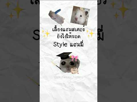 เลี้ยงแฮมสเตอร์ยังไงให้รอด สไตล์แฮมมี่ #แฮมสเตอร์ ￼ #แฮมมี่