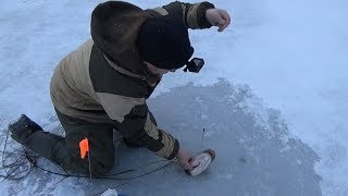 Ловля щуки на жерлицы в коми