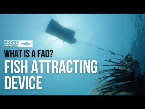 What is a FAD? Fish Aggregating Devices