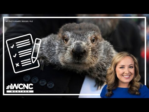Groundhog Day: Should We Trust Punxsutawney Phil's Forecast?