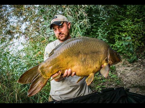 Imperial Fishing Croatia-Čiče Lake 2019