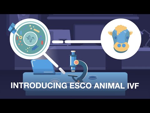 In vitro Fertilization (IVF) in Animals | Esco Medical