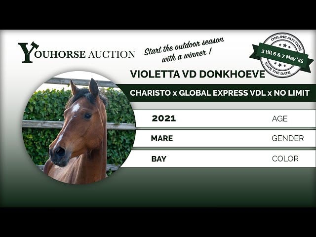 Violetta vd Donkhoeve