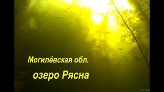 Клев рыбы в горках могилевской области