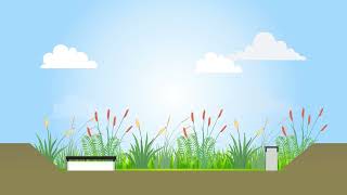 Download lagu How Rain Gardens Work mp3