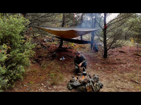 SOLO BUSHCRAFT HAMMOCK CAMPING - Quick Tarp Shelter, Rocks Fireplace, Campfire cooking