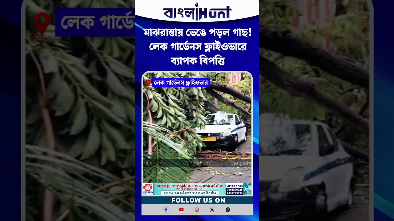 মাঝরাস্তায় ভেঙে পড়ল গাছ! লেক গার্ডেনস ফ্লাইওভারে ব্যাপক বিপত্তি