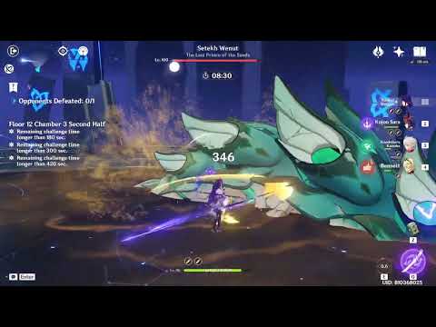 C3 Raiden HyperCarry Vs Deeznut in One Rotation | Spiral Abyss 3.5