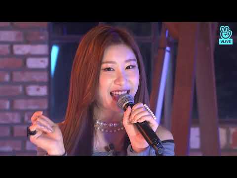 NOT SHY by itzy (feat Light Ring) live performance
