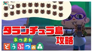 【あつまれ どうぶつの森】タランチュラ島攻略！【愛野くちびる】