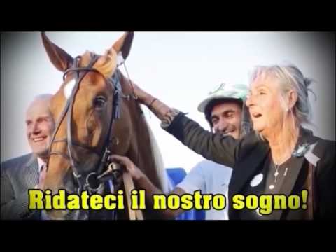 513°NO PROBLEM...IPPICA 20 APRILE 2017