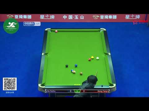 Xia Feizhu VS Wang Tianyi - Chinese Ladies Qualifying - 2019 CBSA Chinese Pool World Championship