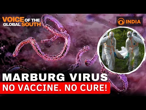 Marburg Virus Outbreaks: A Lethal and Complex Threat | Vibepedia