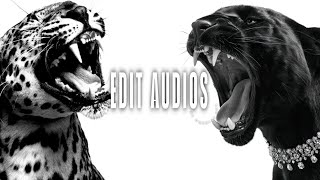 40+ hottest/peak edit audios for the peak people + timestamps 💫🎧