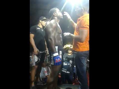 vitoria do xingu pantera X leão branco MMA