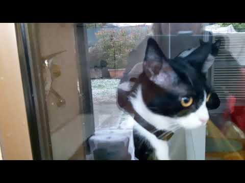 GRANDINATA SUPER NEL PADOVANO