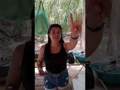 curtindo em São Miguel da Baixa Grande